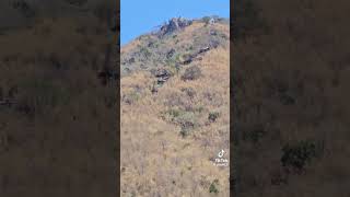 เขาวงพระจันทร์ #ai #funny #mrbeastmemepage #funnyvideos #hiking #mrbeastmeme #comedy #mountains