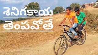 శే ని గ కా య  తెం ప వో తే🌾🌾