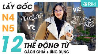 TỰ HỌC 12 THỂ ĐỘNG TỪ TIẾNG NHẬT CƠ BẢN N4 N5 DÀNH CHO NGƯỜI MẤT GỐC