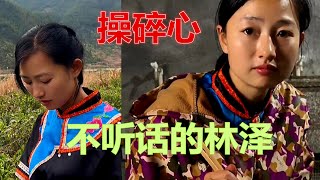 没良心的林泽，这样下去会场出滔天大祸！【寻山记】 #大凉山#彝族风情#果果#苗族美女#苗族风情#乡村生活#新农人计划 #中国少数民族#抖音