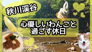 【秋川渓谷】新緑の秋川渓谷を心優しいわんこ🐶と過ごす休日✨💗