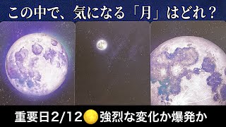 【緊急予報🌕重要日2/12】この今日🩷あなたに急いで伝えたい✨緊急メッセージ✨【ルノルマンカードリーディング占い】恐ろしいほど当たる😱