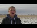 canola school lessons from 2017