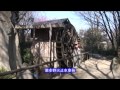 野火止用水の ある景色 江戸時代から今へ）