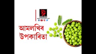 আমলখিৰ উৰকাৰিতা সমূহ কি কি ? চাওক আজিৰ 'বিধান'