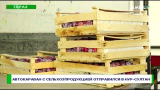 Автокараван с сельхозпродукцией отправился в Нур-Султан