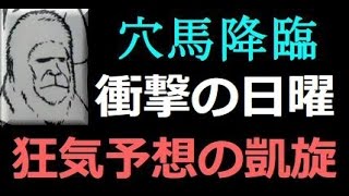 【狂気のラストジャッジ】桜花賞2016の予想