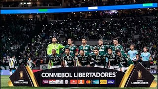 Orgulho de ser Sociedade Esportiva Palmeiras