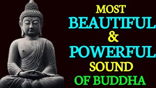 Powerful buddha quotes that can change your life | Buddha Quotes