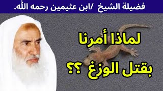 لماذا حثنا النبي ﷺ على قتل الوزغ؟ الشيخ ابن عثيمين رحمه الله