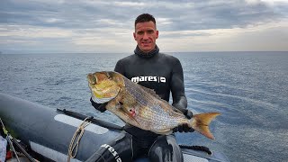 Pesca Sub: DENTICE 7 Kg - Liguria