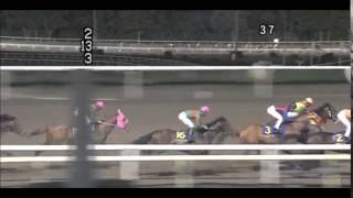 競馬レース結果2015　大井11R　第３８回　京浜盃　SⅡ　【Y氏の地方競馬探券】Ohi Racecourse　Horse Racing