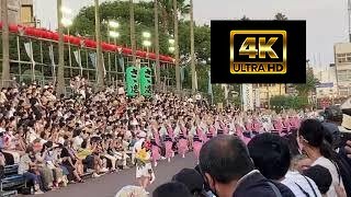 【2022年阿波踊り　さゝ連】2022年徳島　阿波踊り　8月14日第1部　　4K　本部前　藍場浜演舞場