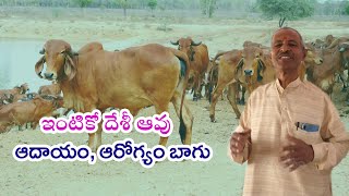 ఆవు ఆరోగ్య, ఆదాయ ప్రదాయని || రామారావు, గో సేవా ప్రముఖ్ || Rythunestham