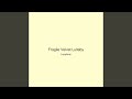 Fragile Velvet Lullaby