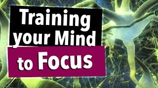 Training Your Mind to Focus