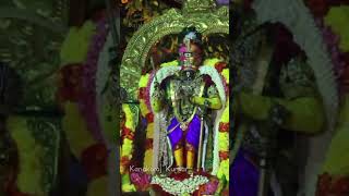 சனிக்கிழமை அன்று பார்க்க வேண்டிய பார்த்தசாரதி பெருமாள் தரிசனம் | ராஜமன்னார் | Rajamannar