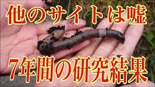 ウナギの餌ドバミミズの保存方法　腐らず冬まで生きてます