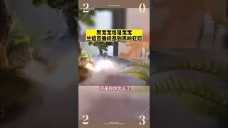 #张兰 直播间怒怼黑粉 #奇葩事件 #张兰直播 #汪小菲大s张兰