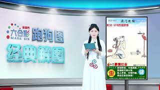 第031期 --【新澳门跑狗图】白小姐解图，助你轻松中奖！✨😁