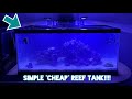 Simple “CHEAP” 45G SALTWATER Aquarium For Beginners!!!!