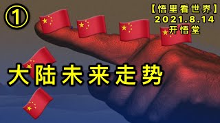 KWT2271(1)大陆未来走势20210814-5【悟里看世界】