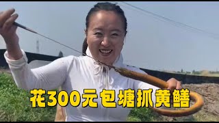 花300元包塘抓黄鳝，漂亮的小姨给我提桶带她体验钓鳝鱼！