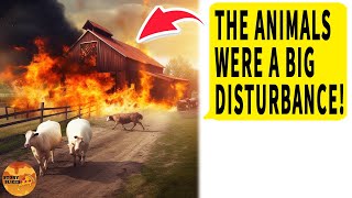 HOA Burns Down My Barn with Animals Inside During Dispute Over Unpaid Dues, I’M NO HOA MEMBER!