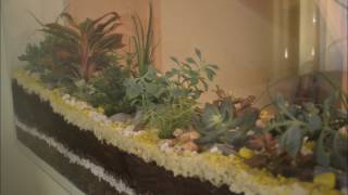 Create a florarium