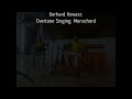 aionigma sungaze overtone singing rav vast dulcimer monochord