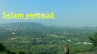 Yercaud selam | ஏற்காடு செல்லும் சாலை | ks venkat official