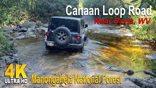 Canaan Loop Rd - OHV Trail near Davis WV