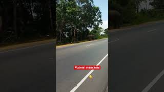 Wild elephant on road | பிரதான சாலையில் காட்டு யானை