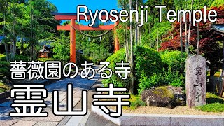 薔薇園のある寺「霊山寺」Ryosenji Temple