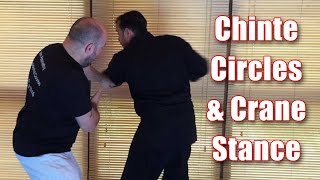 Practical Kata Bunkai: Chinte Circles \u0026 Crane Stance