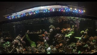 180G REEF SALTWATER | 20G LONG NANO |GLASS-HOLES.COM OVERFLOW BOX