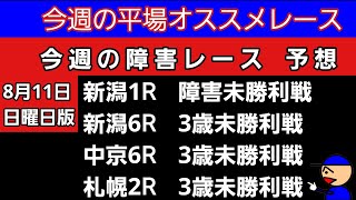 [平場オススメレースと障害レースの予想]8月11日日曜日版 障害未勝利戦　3歳未勝利戦