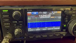 FLEX 6400 on the  MFJ 1982 MP End Fed Wire Antenna