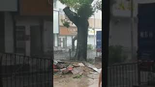 山竹超强台风Typhoon Mangkhut Storm28