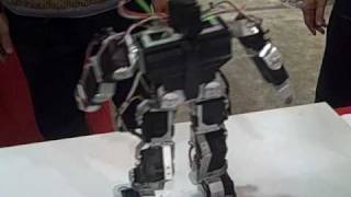 CES Robots: More than just vacuuming, Part 2