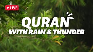 Quran with rain & Thunder sounds!! | Peace | Amazing | Listen | Surah Yunus | Sheikh Moaaz Yasir