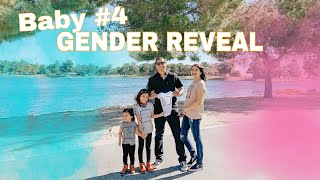 OUR RAINBOW BABY'S GENDER REVEAL