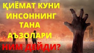 ҚИЁМАТ КУНИ ИНСОННИНГ ТАНА АЪЗОЛАРИ НИМА ДЕЙДИ?