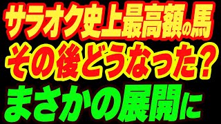 サラブレッドオークション歴代最高額の馬はどうなった？まさかの展開に