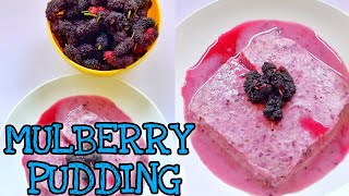 MULBERRY PUDDING|MULBERRY RECIPE-അധികമാരും ട്രൈ ചെയ്യാത്ത ഒരു വെറൈറ്റി പുഡ്ഡിംഗ് ആയാലോ-EPISODE-58