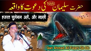 Hazrat Suleman A.s Or Machhli | "हजरत सुलैमान अलै.और मछली" Qari Ahmad Ali Sb
