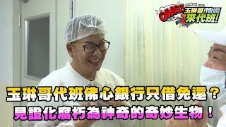 玉琳哥代班佛心銀行只借免還？ 見證化腐朽為神奇的奇妙生物！【玉琳哥來代班】EP34-3 完整版｜沈玉琳 陳育涵