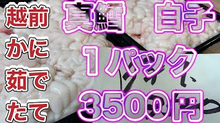 『白子が1パック3500円だと！？』令和6年11月30日の激安魚屋@福井県敦賀市相木魚問屋