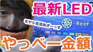 【海水魚水槽】おい1日で●万円も使ったんだが。LED最新型導入！