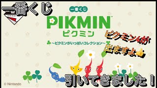 【一番くじ】欲しい賞を引っこ抜くぞ！　ピクミン ～ピクミンがいっぱいコレクション～　#一番くじ  #ピクミン